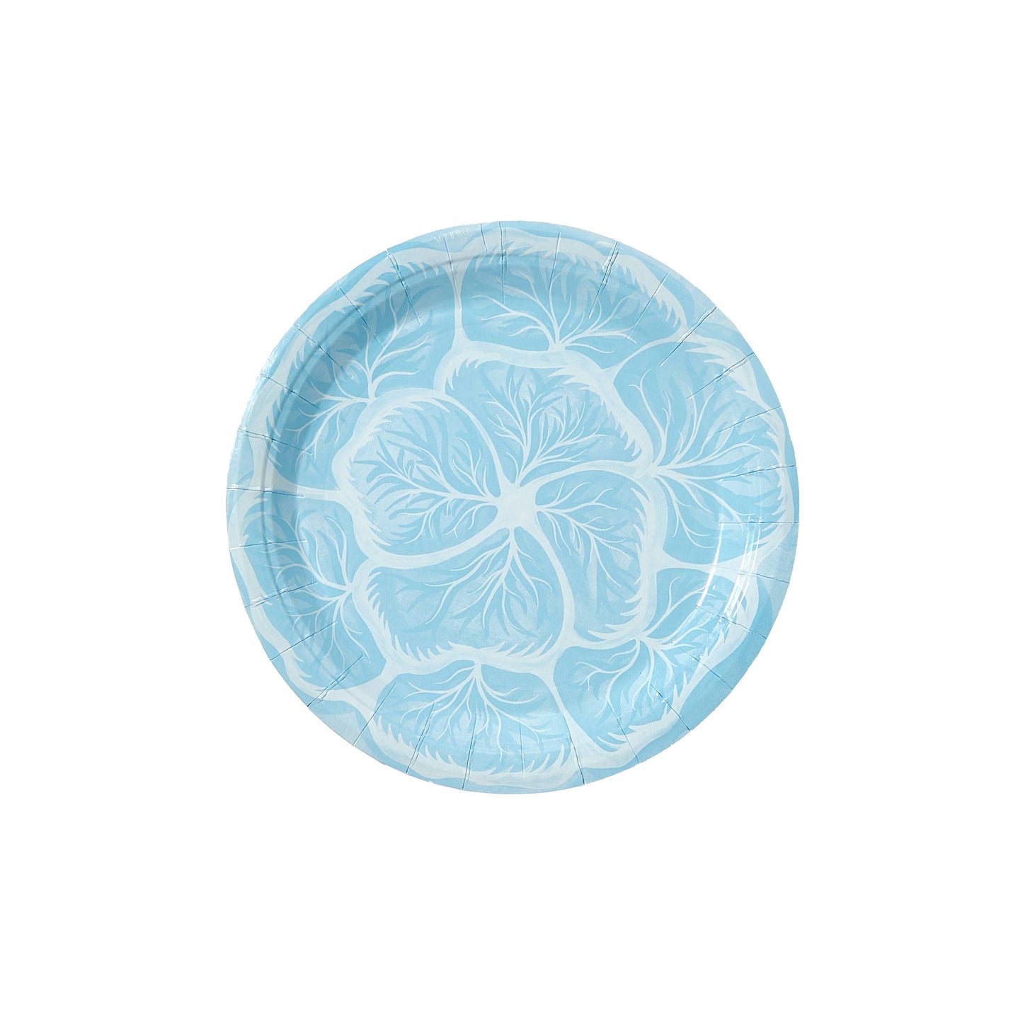 Blue Garden Cabbage Salad and Dessert Paper Plates