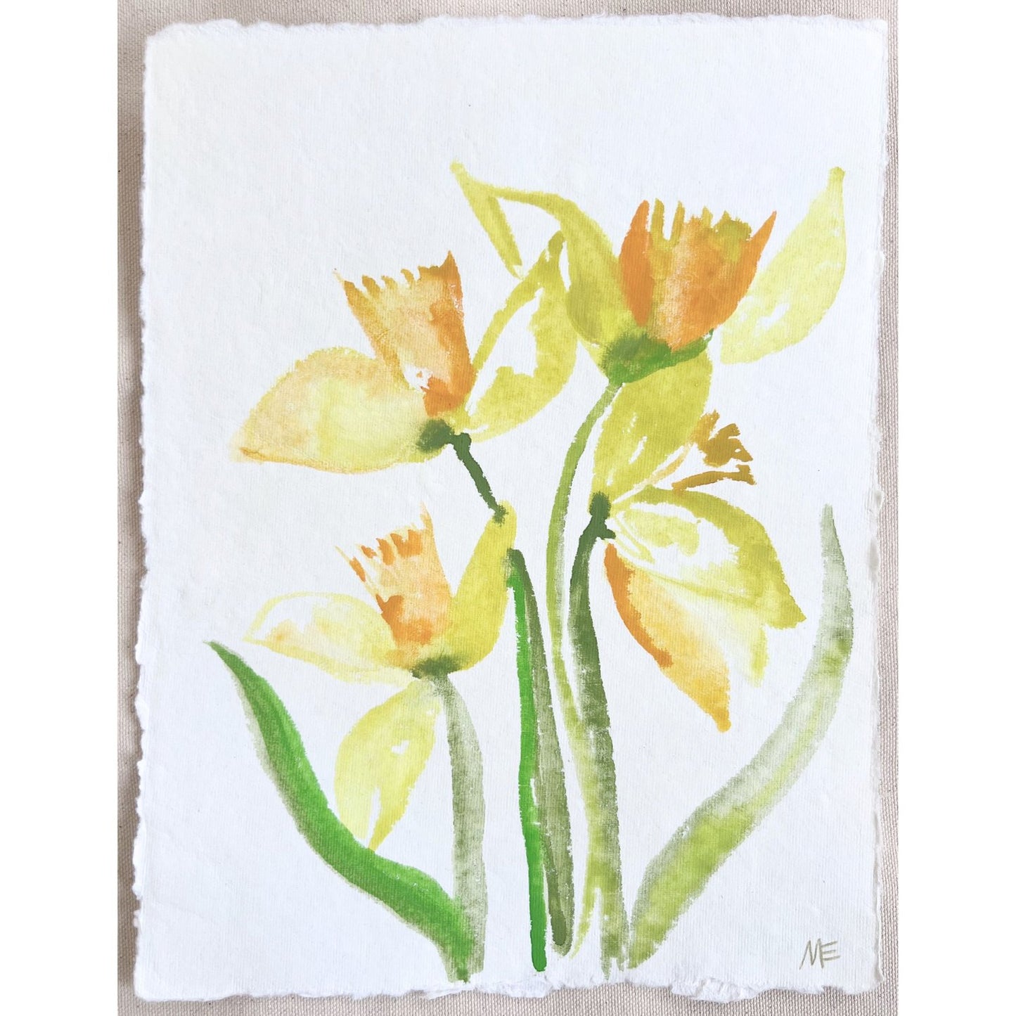Daffodil VII