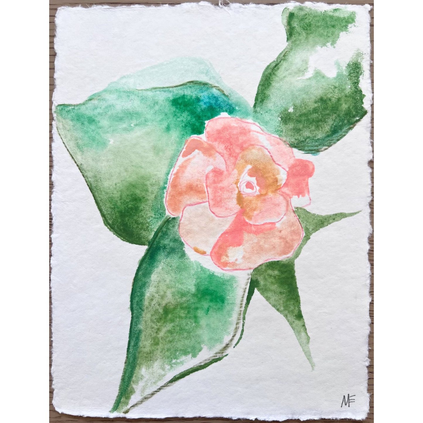 Garden Roses IV