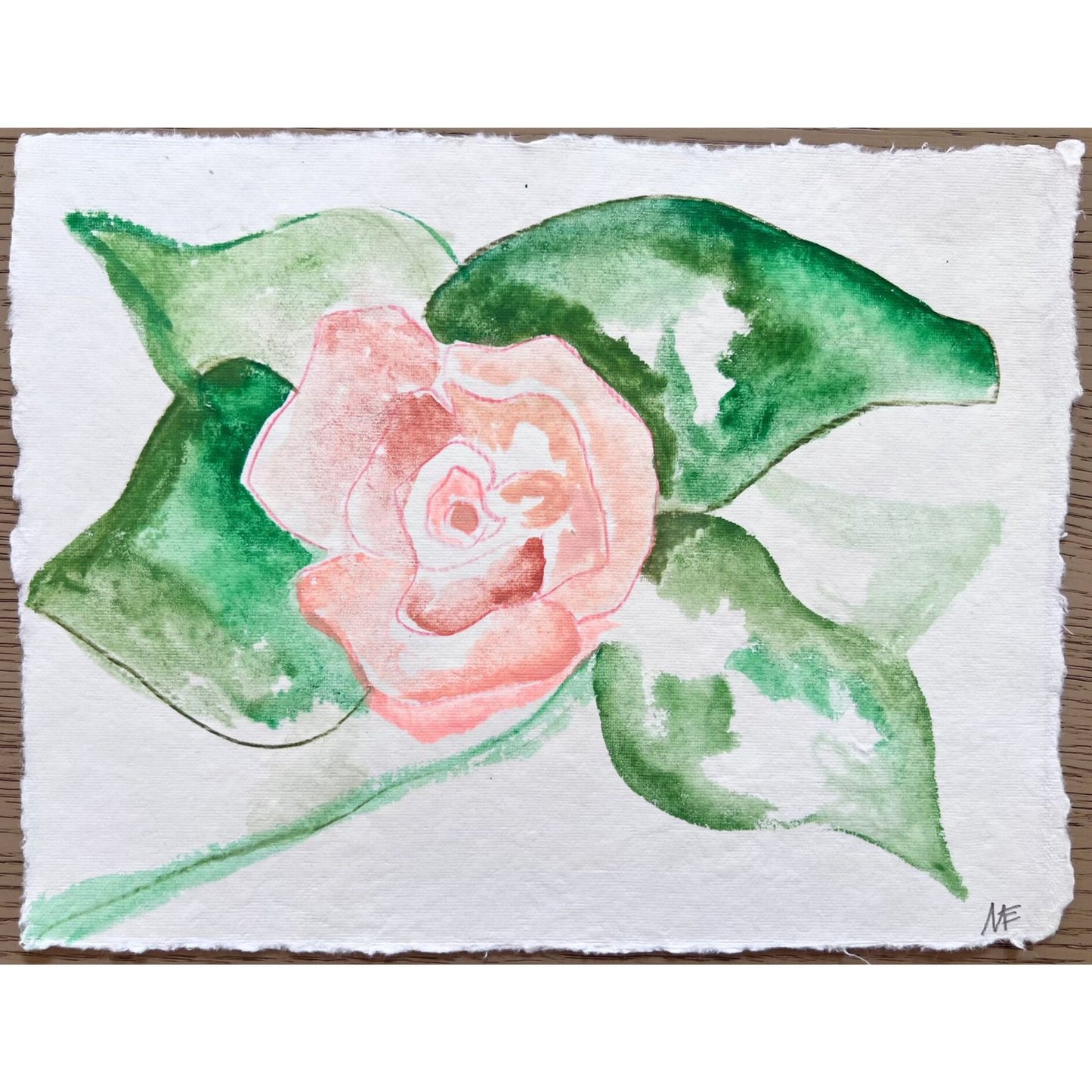 Garden Roses IX