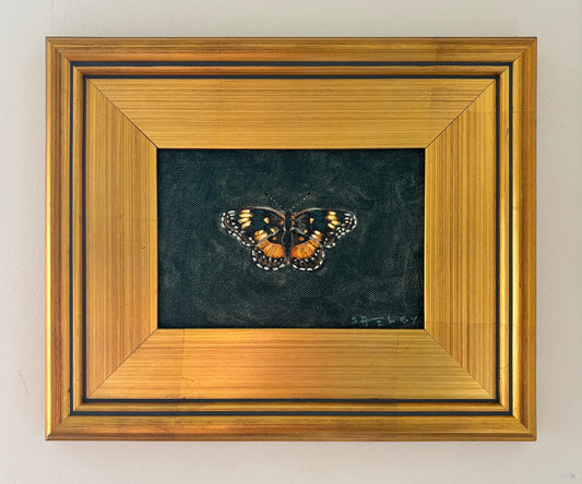 Bordered Patch on Teal