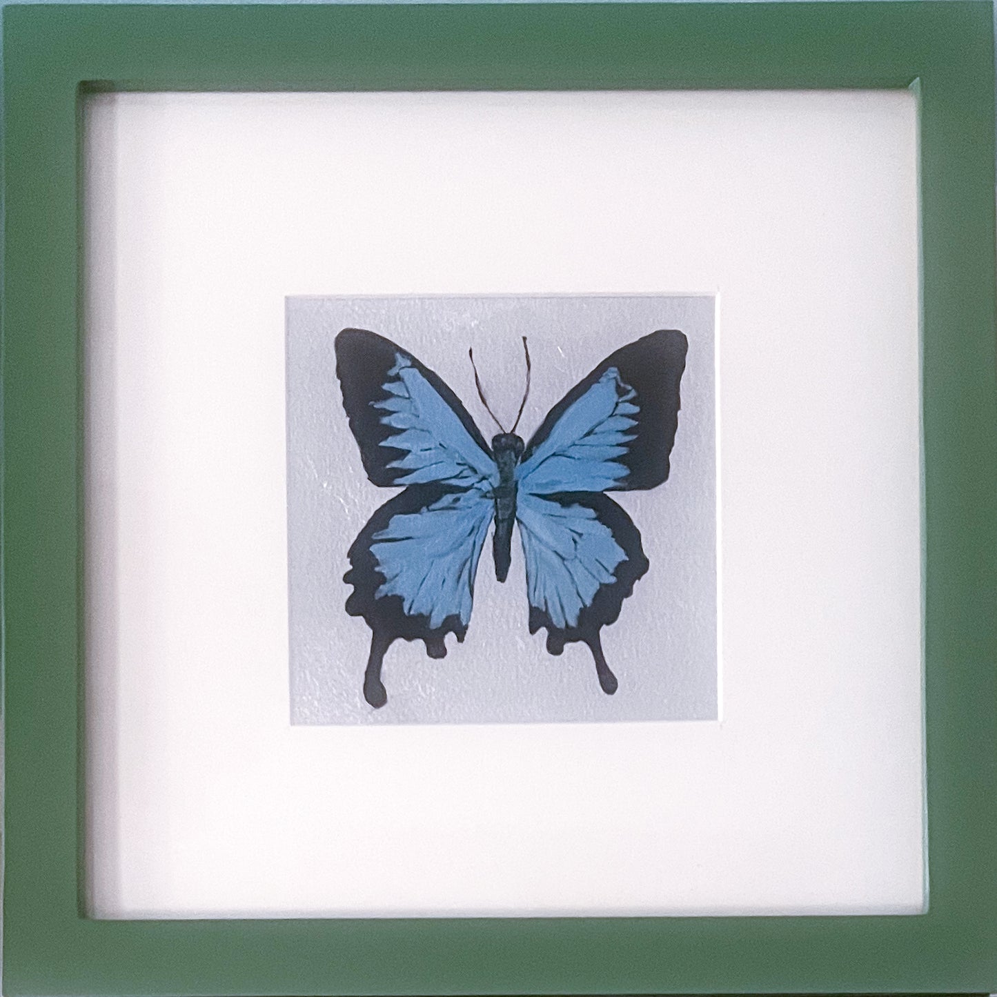 Butterfly I