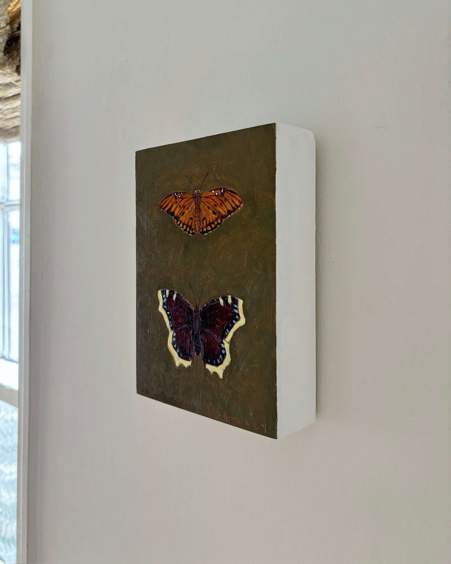Gulf Fritillary & Mourning Cloak Butterfly