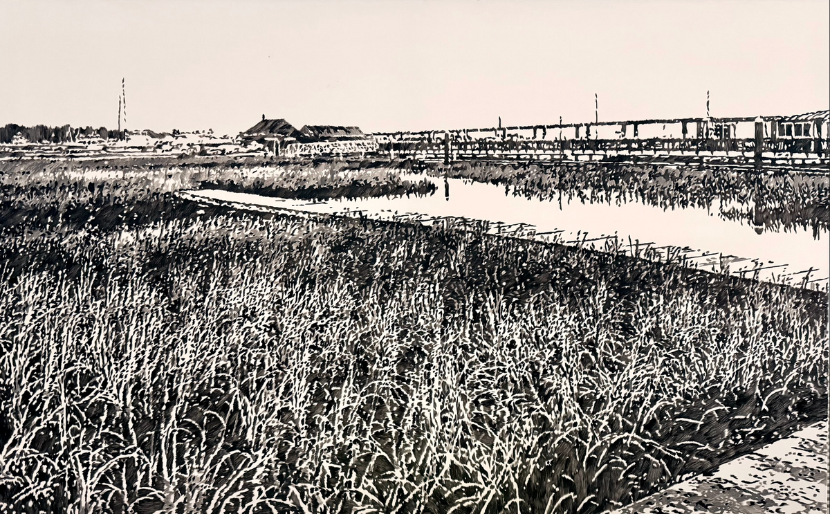 No. 5