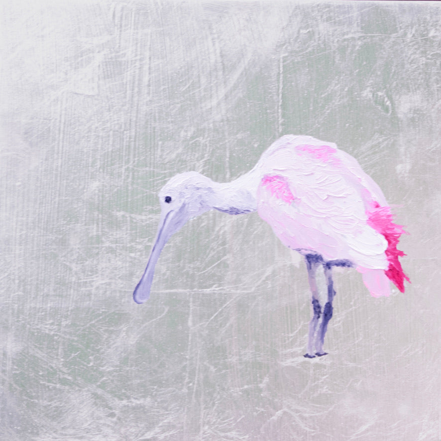 Spoonbill 2