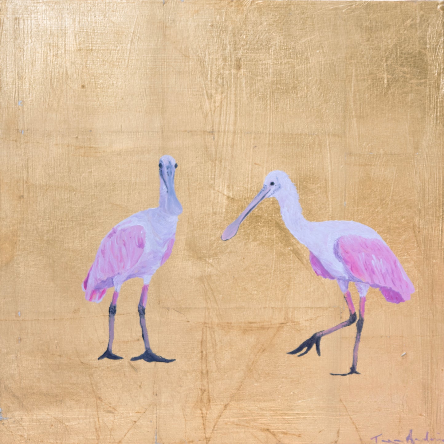 Spoonbill 4