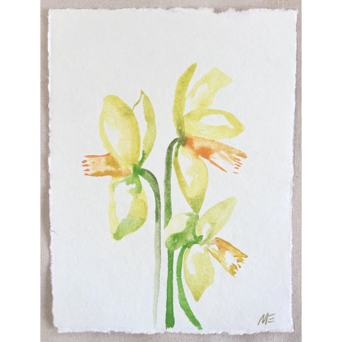 Daffodil I