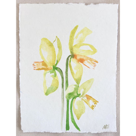 Daffodil I