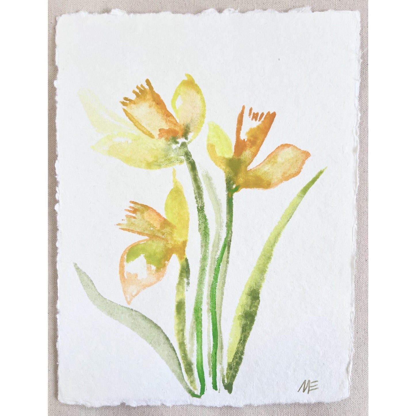 Daffodil II