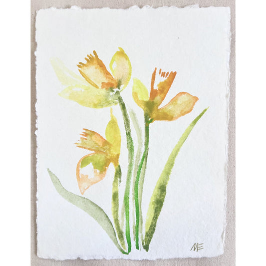 Daffodil II