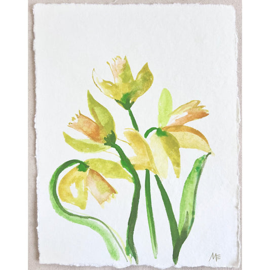 Daffodil III