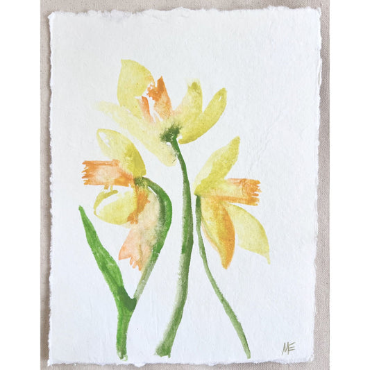 Daffodil V