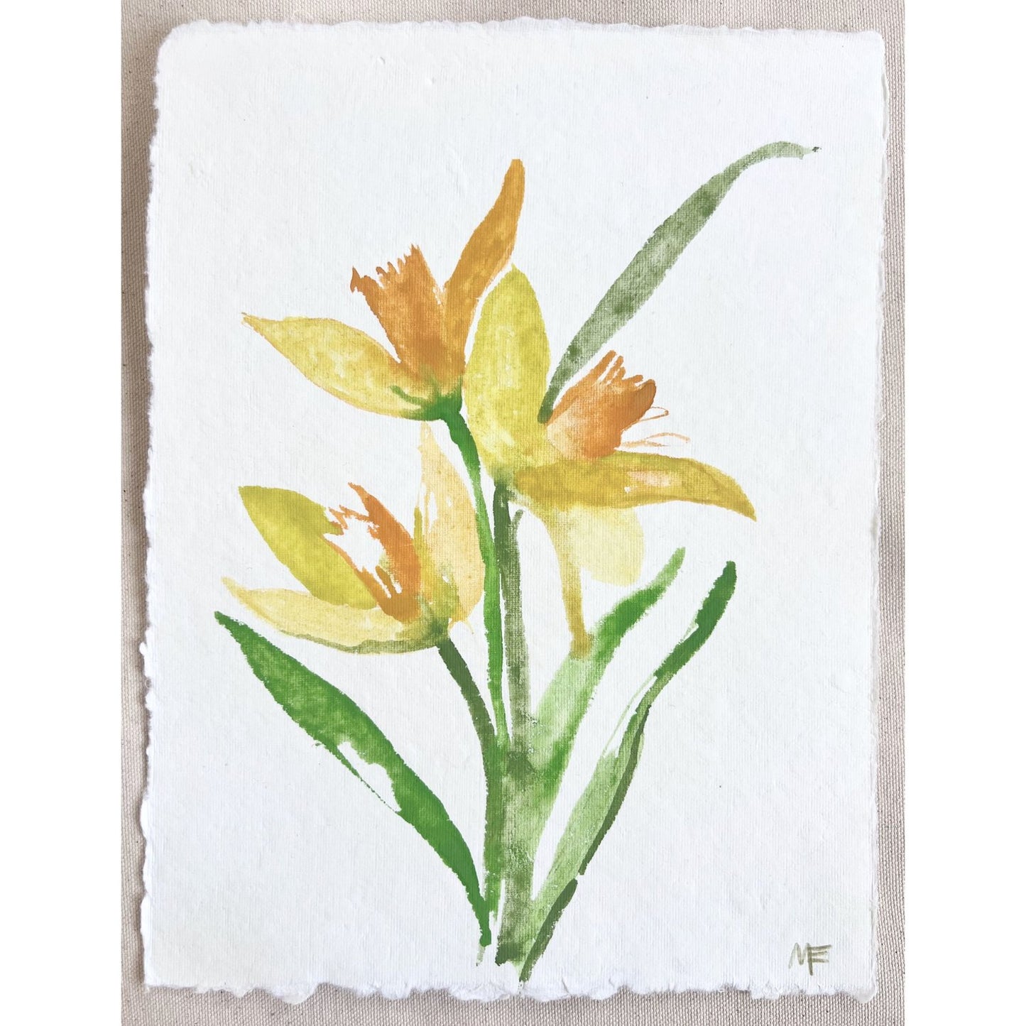 Daffodil VIII