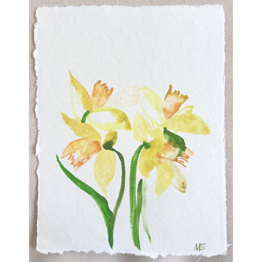 Daffodil IX