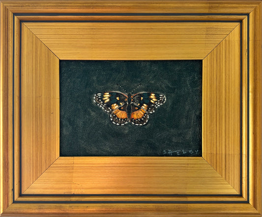 Bordered Patch on Teal