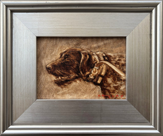 German Wirehaired Pointer Sketch