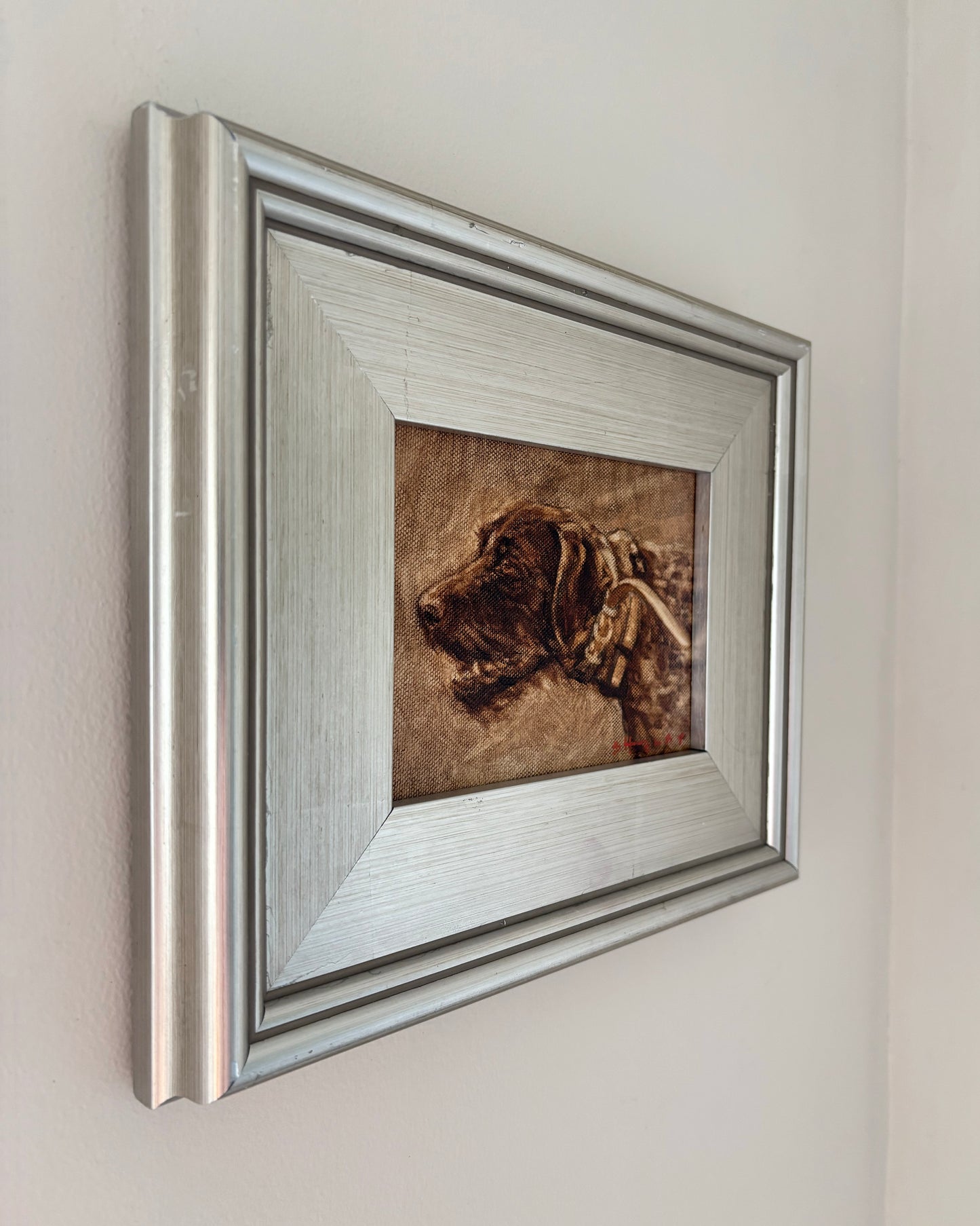 German Wirehaired Pointer Sketch
