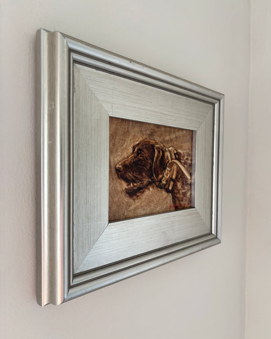 German Wirehaired Pointer Sketch