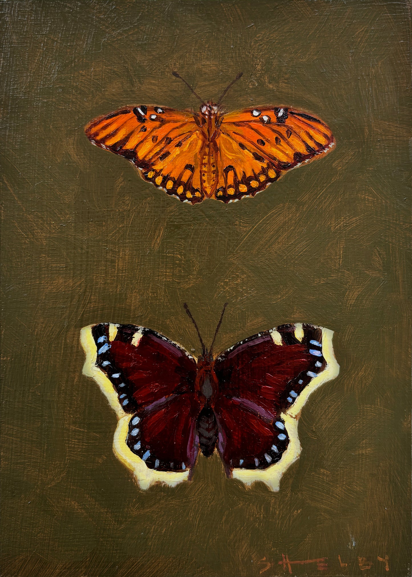 Gulf Fritillary & Mourning Cloak Butterfly