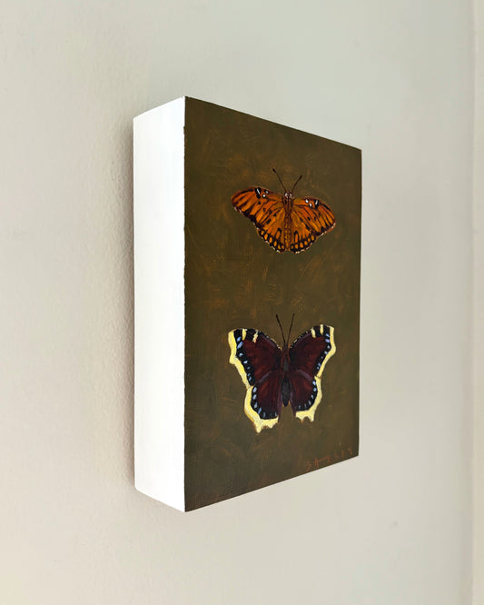 Gulf Fritillary & Mourning Cloak Butterfly