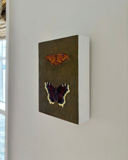 Gulf Fritillary & Mourning Cloak Butterfly