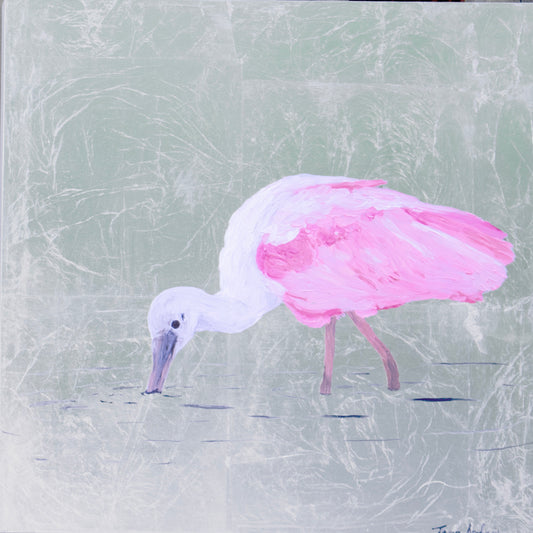 Spoonbill 1