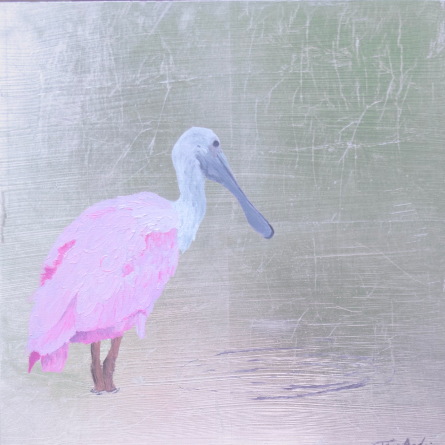 Spoonbill 3