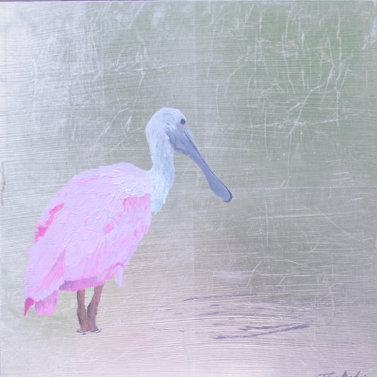 Spoonbill 3
